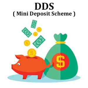 DDS MINI DEPOSIT SCHEME